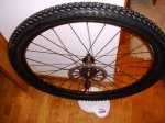 DSC05937.JPG