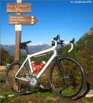 madone-top[1].jpg