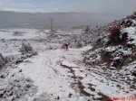 DSC01119.jpg