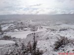 DSC01118.jpg