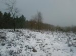 Foto0056.jpg