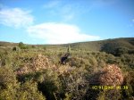 IMG_0571.jpg
