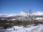 Foto5.JPG