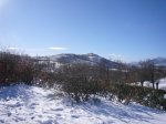 Foto6.JPG
