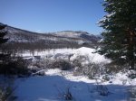 Foto9.JPG