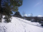 Foto10.JPG