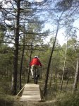 DSC05684.jpg