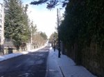 Foto17.JPG