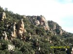 IMG_0593.jpg