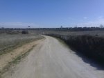 07022009274.jpg