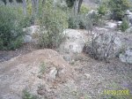 S4022006.jpg