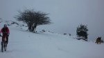 P1020502.JPG