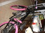 DSC06345.jpg