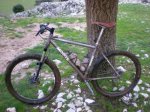 moots barro 2.jpg