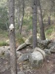 DSC05673.jpg