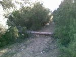 Imagen024.jpg
