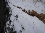DSC02166.jpg
