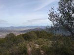 DSC00080.jpg