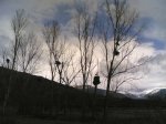 salida 08- 02 2009 034.jpg