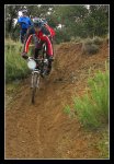 IMG_0549.jpg