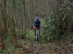 DSCN33391.jpg