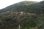 La Ceja-2 Aguas-Forata 016.jpg