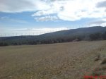 DSC00450.jpg