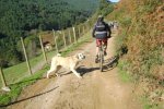 DSC00727.jpg