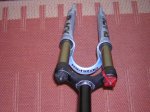 DSCN0967.jpg