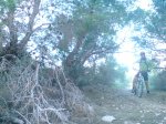 DSC00242.jpg