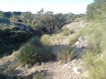 DSC00247.jpg