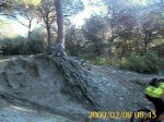 IMAGE_037.jpg