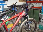 DSC00890.jpg