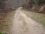 DSC00007.jpg