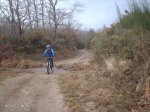 DSC00012.jpg