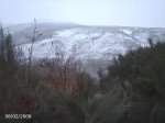 DSC00013.jpg