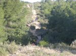 Ruta 05. Pi del Dalt (06).jpg