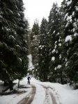 gomiztegi-mikelete 00012.JPG