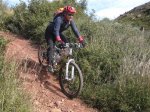 Ruta 05. Pi del Dalt (28).jpg