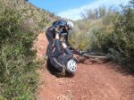 Ruta 05. Pi del Dalt (32).jpg