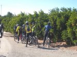Ruta 05. Pi del Dalt (51).jpg