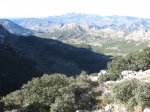IMG_1513.jpg