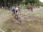 CIMG0245 (Custom).jpg