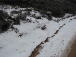 IMG_1534.jpg