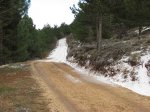 IMG_1535.jpg