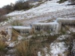 IMG_1543.jpg