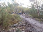 DSC00009.jpg