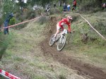 IMG_3354.jpg