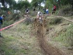 IMG_3359.jpg