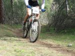 IMG_3381.jpg